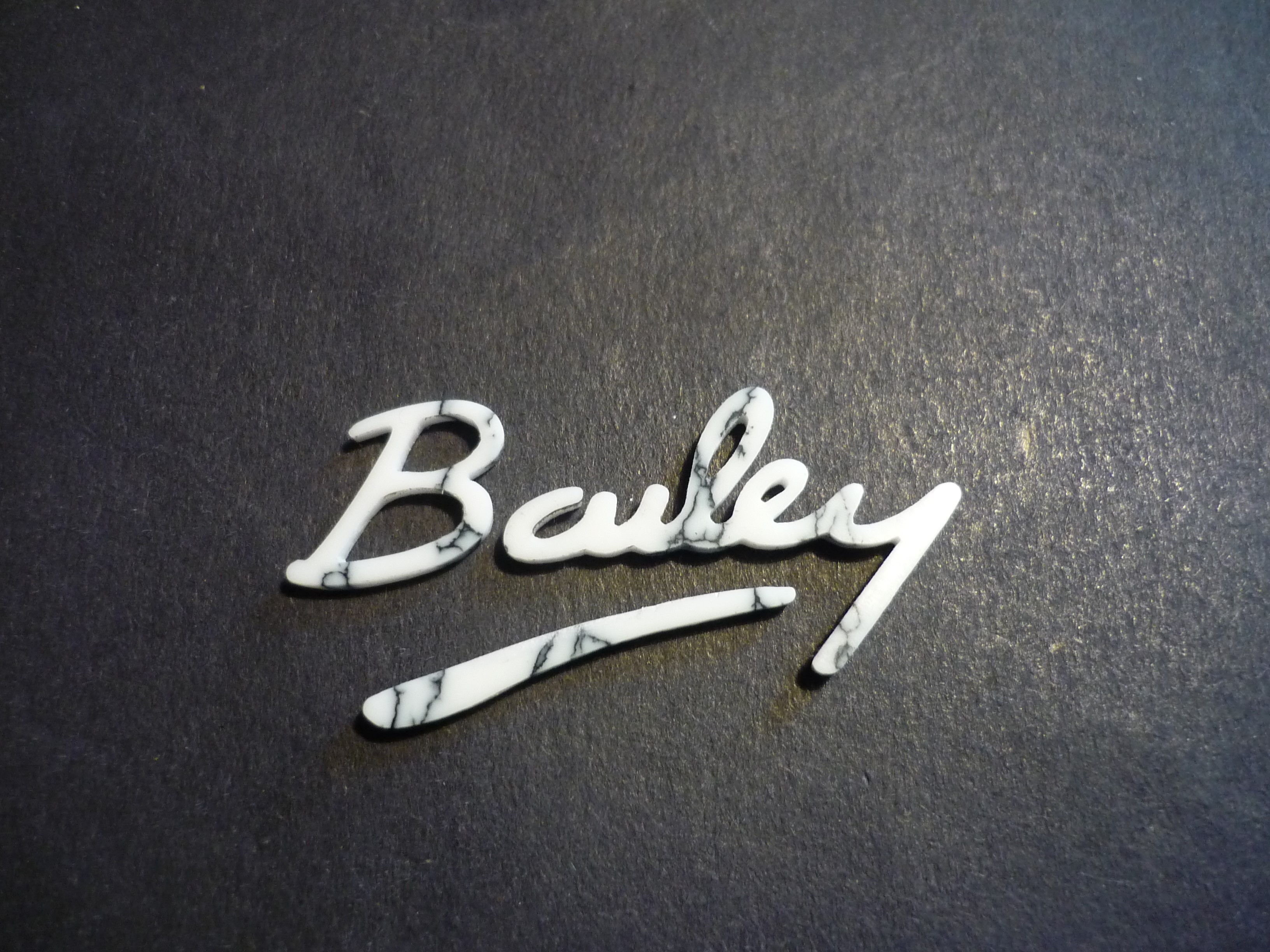 Bailey Gtrs Logo In White Turquoise